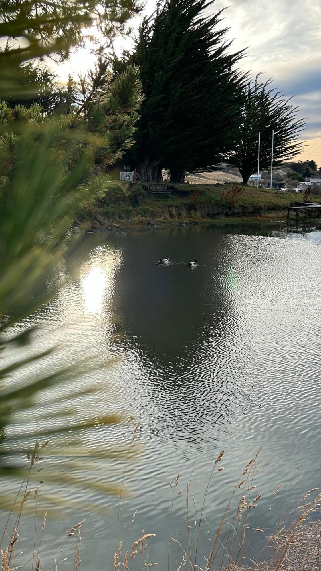 Hospedaje Isla Magdalena Punta Arenas Ngoại thất bức ảnh