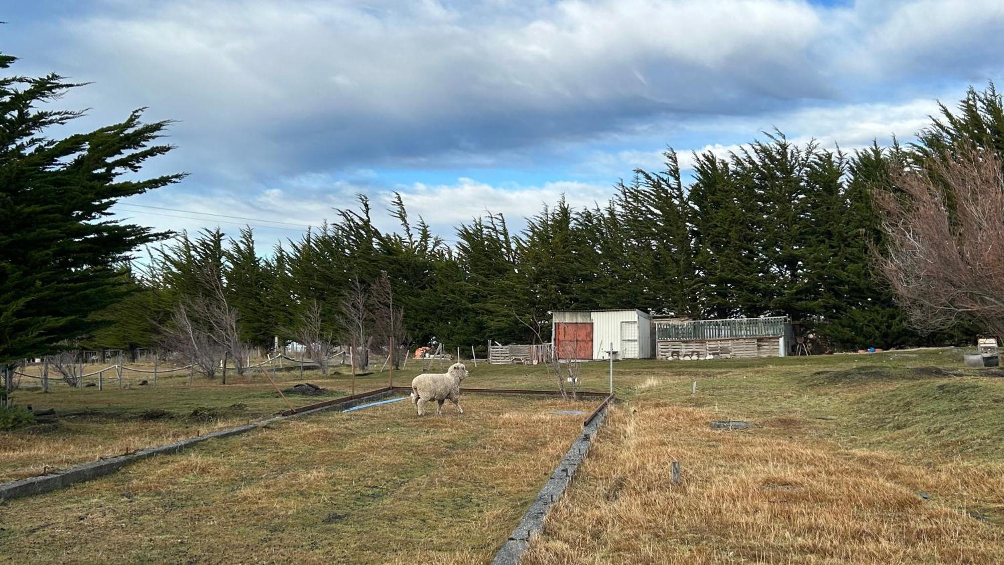 Hospedaje Isla Magdalena Punta Arenas Ngoại thất bức ảnh
